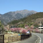 
					伊勢原のシンボル！丹沢大山のおすすめ2021年観光スポット