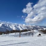 
					イタリア人OLは初めて日本にスキーをしに行きました～！
